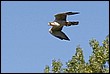 IMG_7840-1.jpg