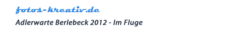 www.fotos-kreativ.de