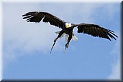 _MG_2187.jpg