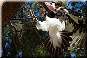 _MG_2265.jpg
