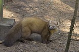 _MG_1040.jpg