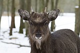 _MG_8745.jpg