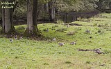 bild_hg_1303.jpg
