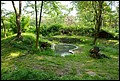 Das Gehege der europischen Wildkatzen