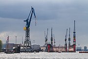 _MG_6935.jpg
