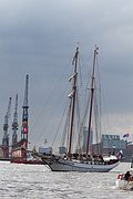 _MG_6936.jpg
