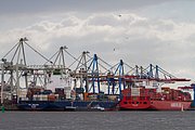 _MG_6959.jpg
