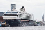 _MG_6960.jpg