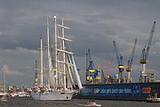 _MG_6986.jpg