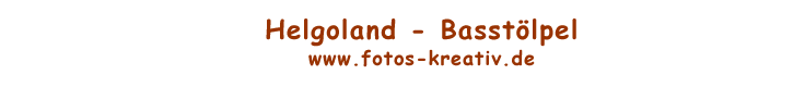 www.fotos-kreativ.de