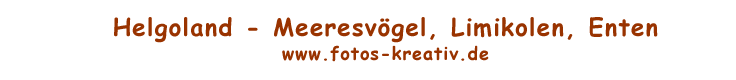 www.fotos-kreativ.de