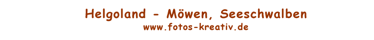 www.fotos-kreativ.de