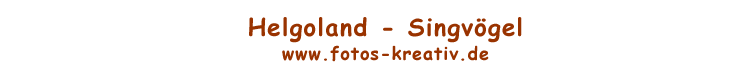 www.fotos-kreativ.de