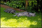 _MG_1377.jpg