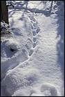x_mg_2439-2.jpg