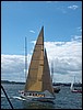 impress1452.jpg
