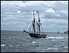luciana1439.jpg