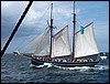luciana1440.jpg