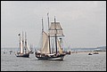 IMG_6139-1.jpg