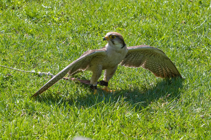 20070519-IMG_5557-1.jpg