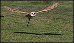 IMG_5667-1.jpg