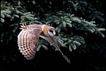 IMG_5668-1.jpg