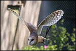 IMG_5669-1.jpg