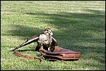 IMG_5691-1.jpg