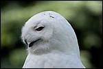 IMG_5703-1.jpg