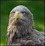 IMG_5704-1.jpg