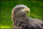 IMG_5705-1.jpg