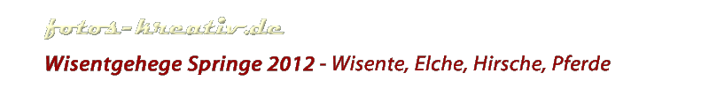 www.fotos-kreativ.de