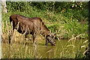 _MG_2806.jpg