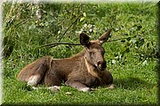 _MG_3056.jpg