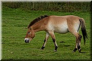_MG_3264.jpg