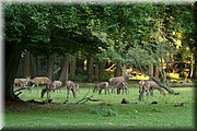 _MG_3866.jpg