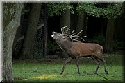 _MG_3876.jpg