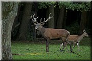 _MG_3880.jpg