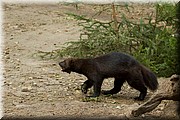 _MG_2646.jpg