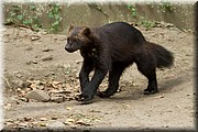 _MG_2649.jpg