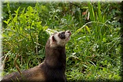 _MG_2670.jpg