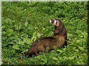 _MG_2912.jpg