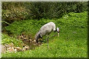 _MG_3221.jpg