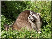 _MG_3244.jpg