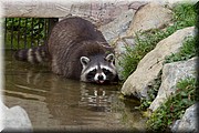 _MG_3298.jpg