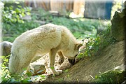 _MG_2497.jpg
