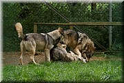 _MG_2708.jpg