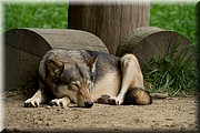 _MG_2727.jpg