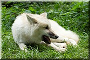 _MG_3891.jpg