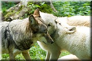 _MG_3898.jpg